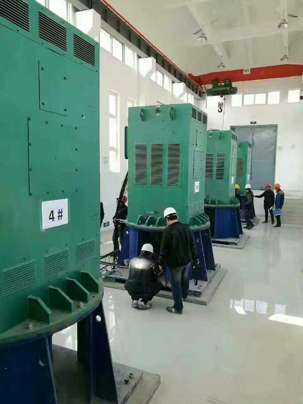 Y5004-10某污水处理厂使用我厂的立式高压电机安装现场