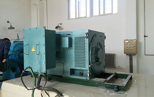 Y5004-10某水电站工程主水泵使用我公司高压电机