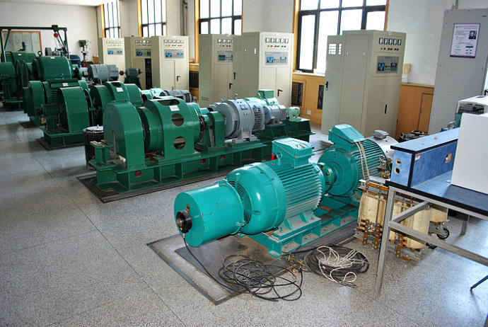 Y5004-10某热电厂使用我厂的YKK高压电机提供动力