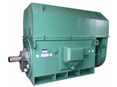 Y5004-10Y系列6KV高压电机