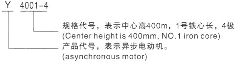 西安泰富西玛Y系列(H355-1000)高压Y5004-10三相异步电机型号说明